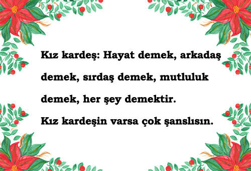 Kız Kardeş İle İlgili Sözler