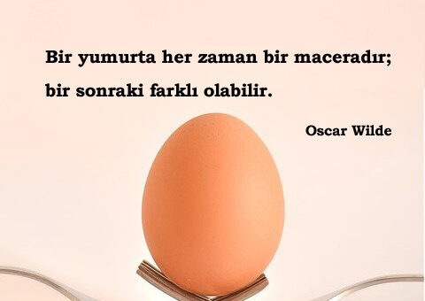 Yumurtayla Alakalı Sözler