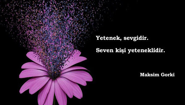 Yetenekle İlgili Sözler