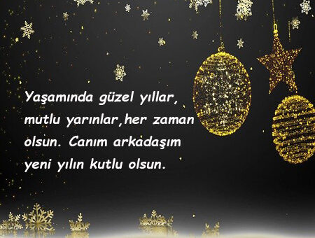 Arkadaşa Yılbaşı Mesajları