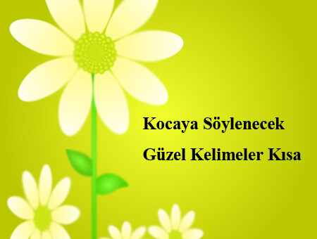 Kocaya Söylenecek Güzel Kelimeler Kısa