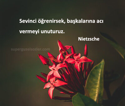 Felsefe Sözleri Uzun ve Kısa