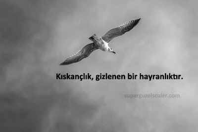 Bioya Yazılacak Sözler Kısa
