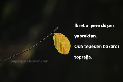 İğneleyici Sözler Güzel