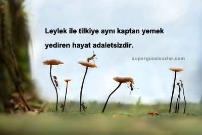 Adaletsizlik Yapan Kişilere Sözler