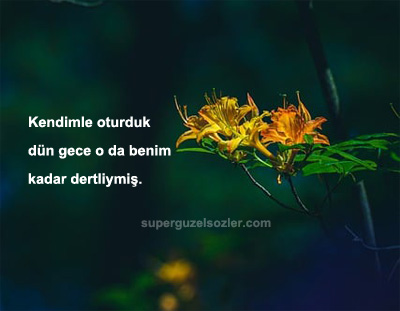 Kendimle İlgili Havalı Sözler