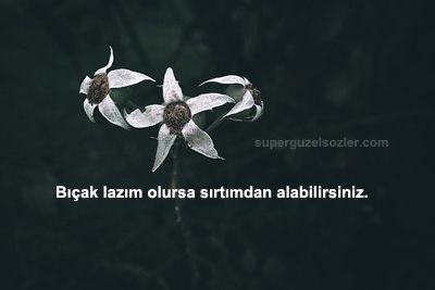 Postun Altına Yazılacak Sözler Kısa