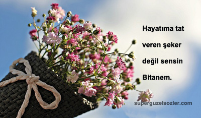 Kısa Çiçek Notları