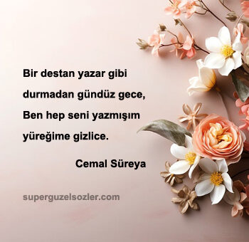 Şair Sözleri Kısa
