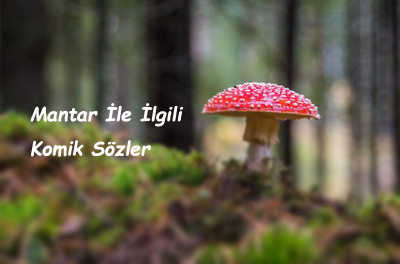 Mantar İle İlgili Güzel Sözler