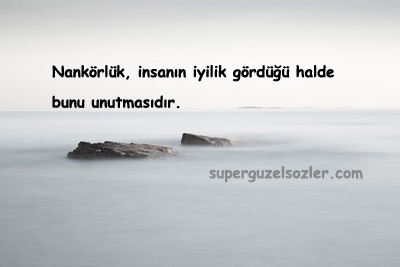 Nankörlükle İlgili Sözler Kısa