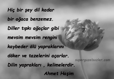 Ahmet Haşim En Güzel Sözleri
