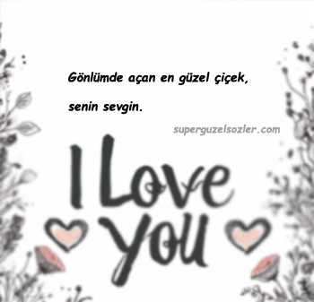 Sevgiliyi Mutlu Edecek Sözler
