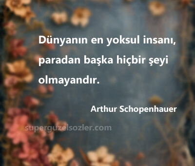 Arthur Schopenhauer sözleri kisa