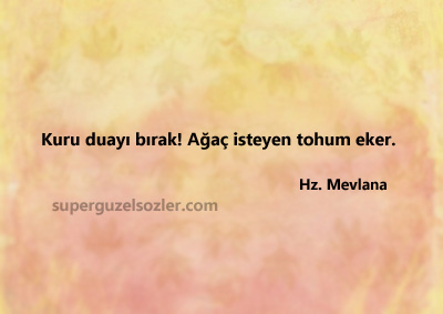 Ağaç İle İlgili Sözler Kısa