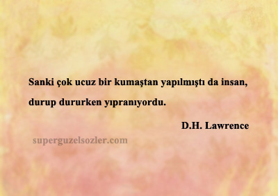 D.H. Lawrence Sözleri Özlü