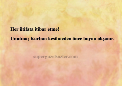 Can Yakan Sözler Yeni