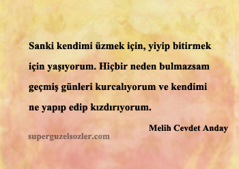 Melih Cevdet Anday En Güzel Sözleri