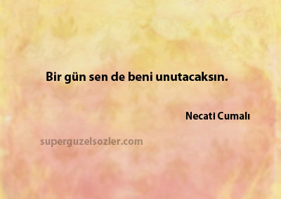 Necati Cumalı Sözleri Özlü
