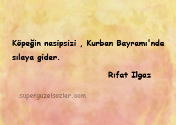 Rıfat Ilgaz Sözleri Kısa