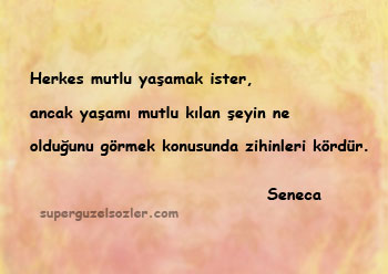 Seneca Sözleri Anlamlı