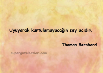 Thomas Bernhard Sözleri Kısa