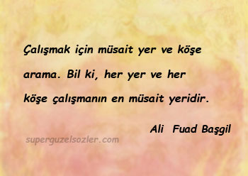 Ali Fuad Başgil Kitap Alıntı Sözleri