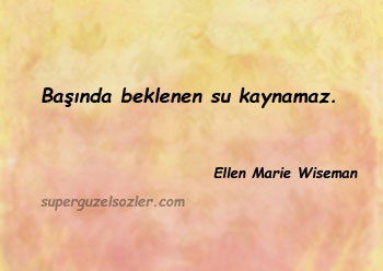 Ellen Marie Wiseman Sözleri Anlamlı