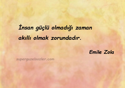 Emile Zola Kitap Alıntı Sözleri