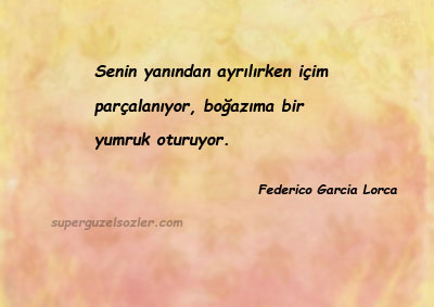 Federico Garcia Lorca En Güzel Sözleri